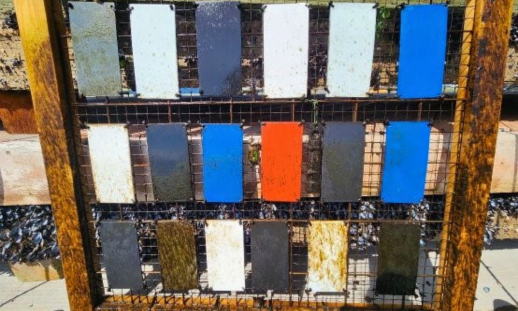 A panel of multiple swatches of GIT coatings products attached to an apparatus for in-water testing.