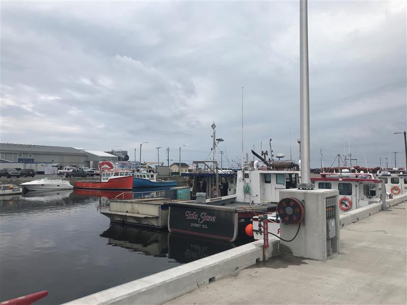 Exploring renewable energy for rural fishing wharves with Low Carbon Communities grant